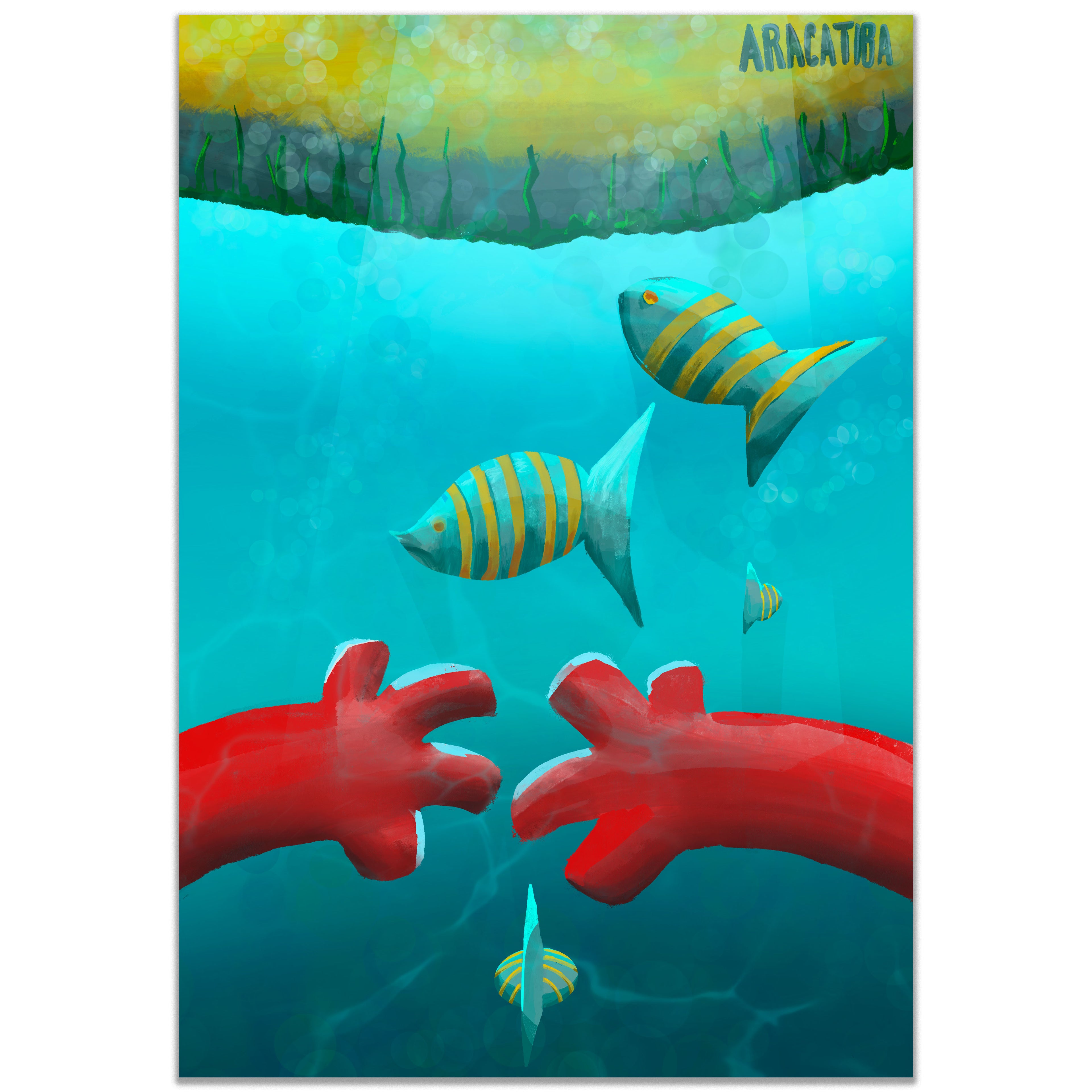 "Plongée à Isla Grande"